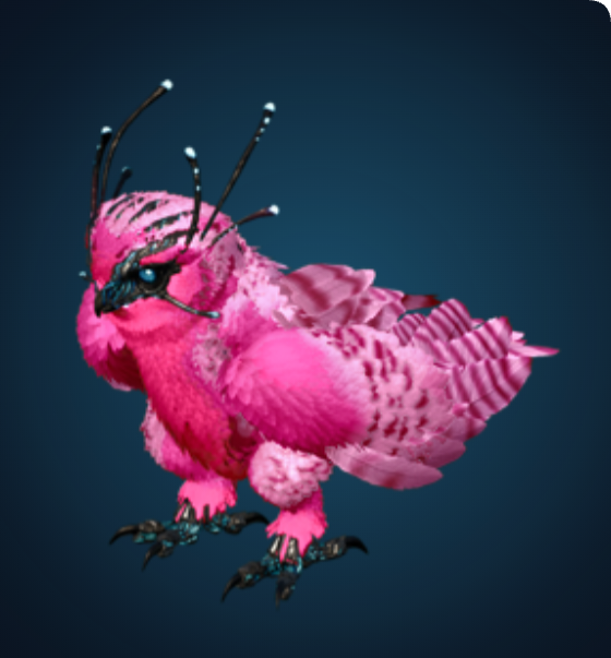 Snow Owl - Pink