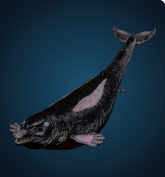 Basilosaurus - Solid Black