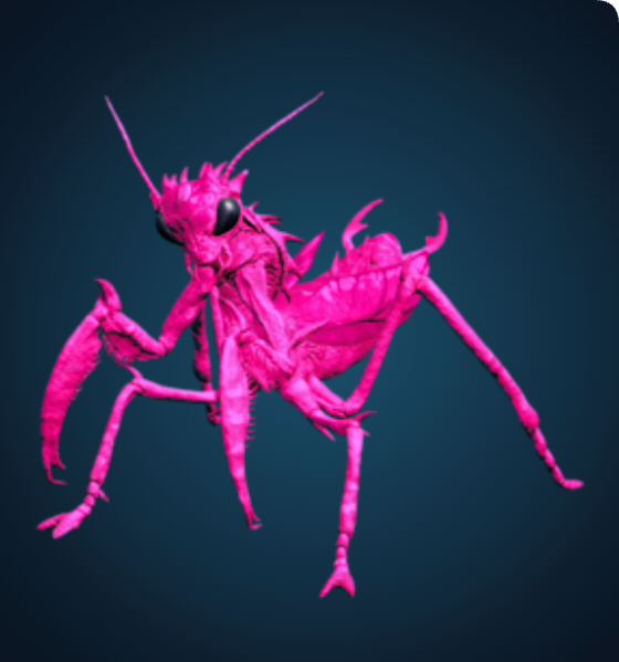 Mantis - Solid Pink